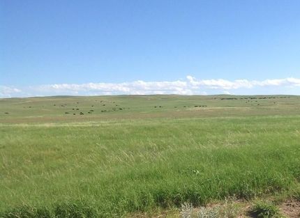 Farm and Ranch in Arthur County, Nebraska