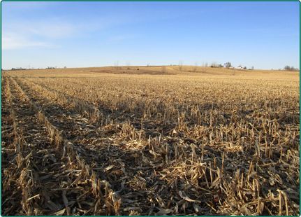 Farm and Ranch in Poweshiek County, Iowa