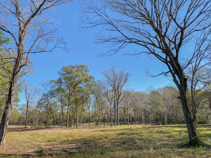Horse Property in Montgomery County, Texas