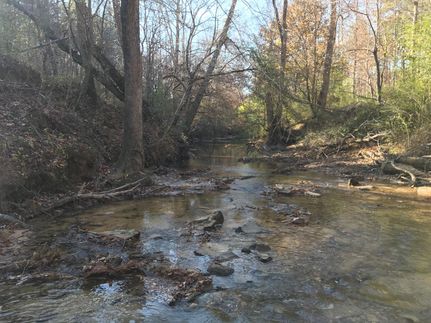 Farm and Ranch in Cullman County, Alabama