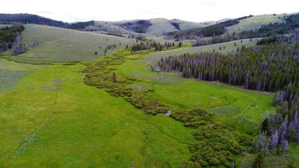 Land in Lemhi County, Idaho