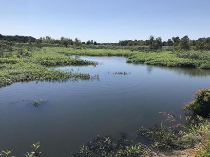 Land in Saint Francis County, Arkansas