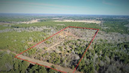 Timberland Property in Miller County, Arkansas
