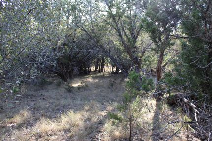 Undeveloped Land in Uvalde County, Texas