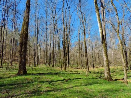 Land in Greene County, Georgia