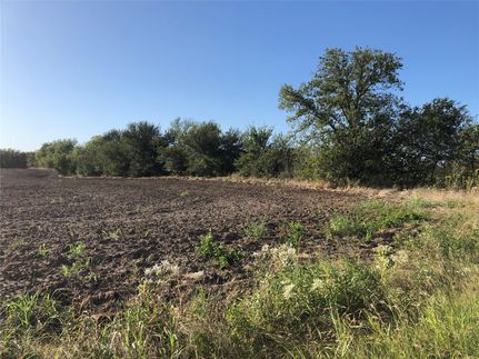 Undeveloped Land in Grayson County, Texas