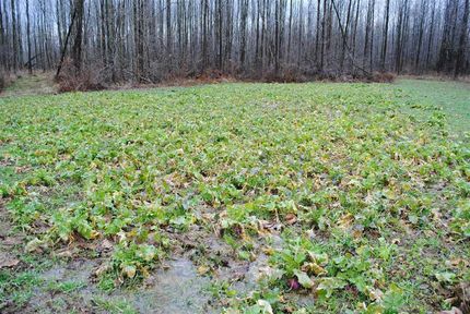 Land in Scott County, Indiana