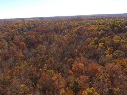 Undeveloped Land in Houston County, Tennessee