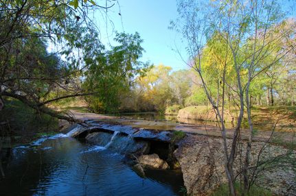 Farm and Ranch in Atascosa County, Texas