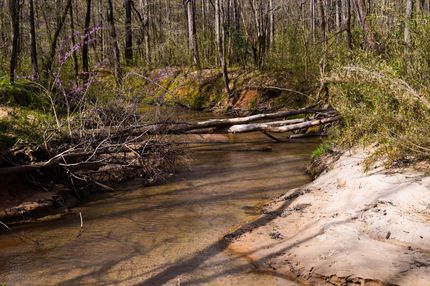Undeveloped Land in Spartanburg County, South Carolina