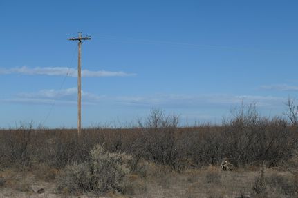 Undeveloped Land in Pecos County, Texas