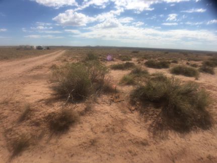 Homesite in Navajo County, Arizona