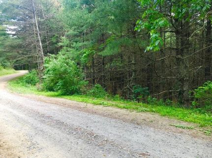 Undeveloped Land in Floyd County, Virginia