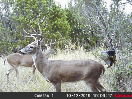 Farm and Ranch in Lampasas County, Texas