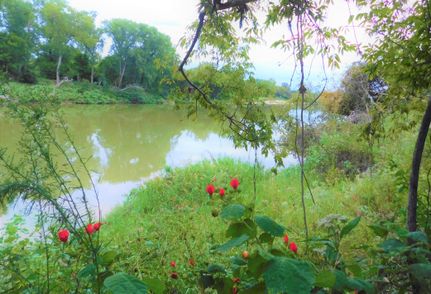 Riverfront Property in Colorado County, Texas