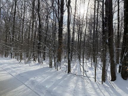 Commercial Property in Oneida County, New York