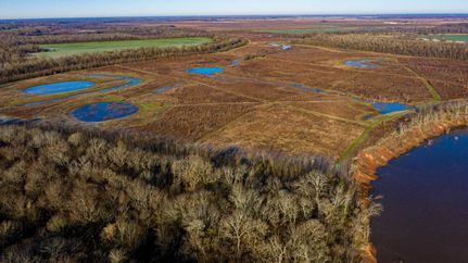 Commercial Property in Bowie County, Texas
