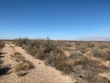 Timberland Property in Ward County, Texas
