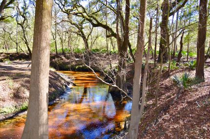 Farm and Ranch in Jefferson County, Florida