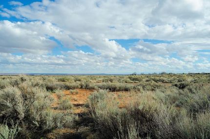 Farm and Ranch in Apache County, Arizona