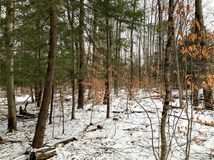 Hunting Property in Oswego County, New York