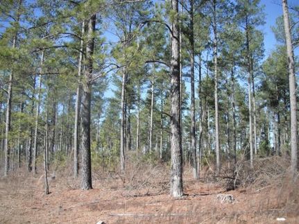 Land in Kershaw County, South Carolina