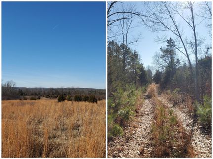 Recreational Property in Douglas County, Missouri