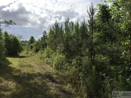 Farm and Ranch in Colleton County, South Carolina