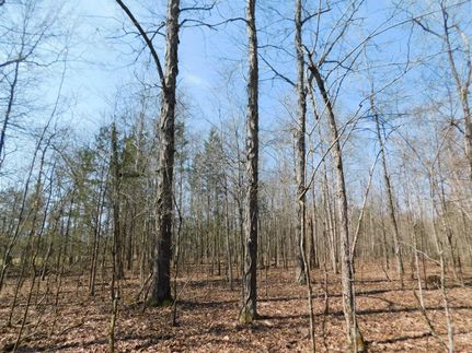Recreational Property in McNairy County, Tennessee