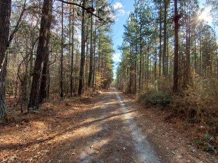 Recreational Property in King William County, Virginia