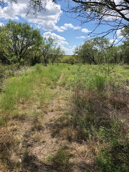 Farm and Ranch in Bosque County, Texas