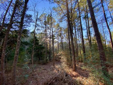 Timberland Property in Walker County, Texas