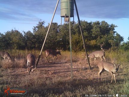 Hunting Property in Mills County, Texas