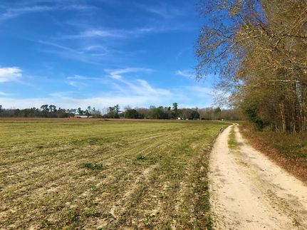 Land in Orangeburg County, South Carolina