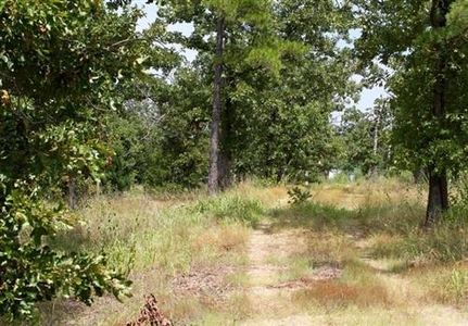 Undeveloped Land in Pushmataha County, Oklahoma
