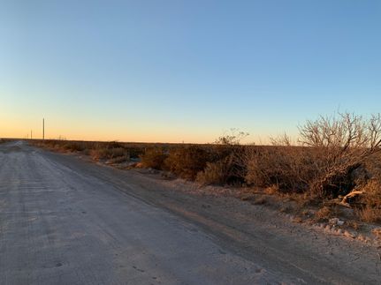 Undeveloped Land in Reeves County, Texas