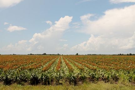Recreational Property in Fort Bend County, Texas