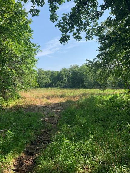 Timberland Property in Knox County, Missouri