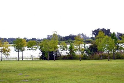 Timberland Property in Lake County, Florida