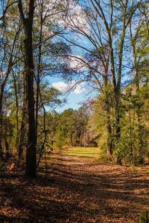 Commercial Property in Bulloch County, Georgia