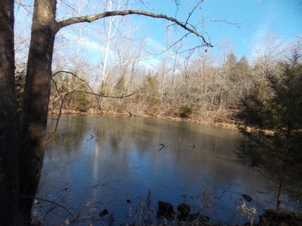 Farm and Ranch in Polk County, Missouri
