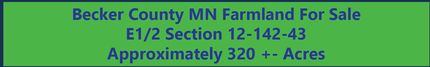 Undeveloped Land in Becker County, Minnesota