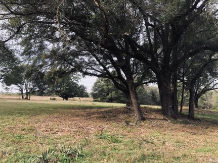 Farm and Ranch in Dale County, Alabama