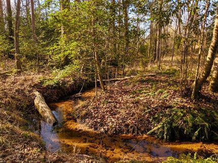 Land in Schley County, Georgia