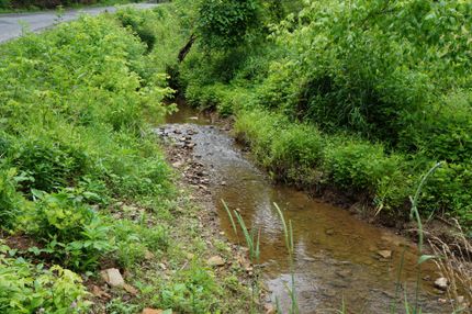 Farm and Ranch in Claiborne County, Tennessee