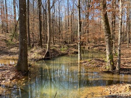 Timberland Property in Lee County, Alabama