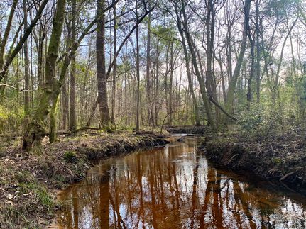 Recreational Property in Pike County, Alabama