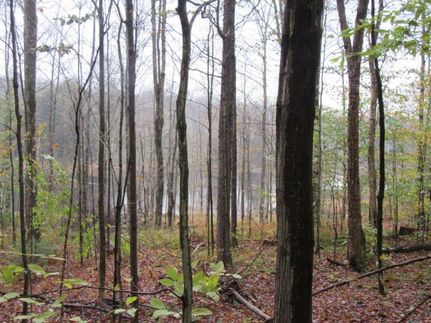 Commercial Property in Chenango County, New York