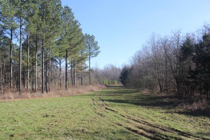 Timberland Property in Marshall County, Mississippi