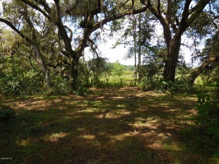 Recreational Property in Levy County, Florida